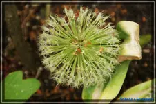 comp_DSC03817.webp