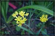 comp_DSC03822.webp