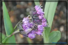 comp_DSC03825.webp