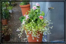 comp_DSC03826.webp