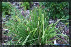comp_DSC03833.webp