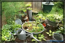 comp_DSC03818.webp