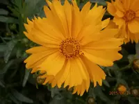 P6210410.webp