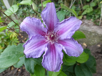 P1440421.webp
