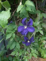 DSCN2679.webp