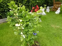 DSCF9353.webp
