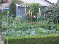 DSCN2674.webp