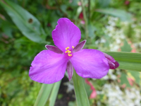 P1440403.webp