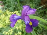 P1440406.webp