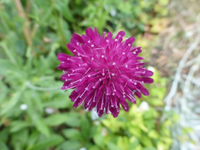 P1440401.webp