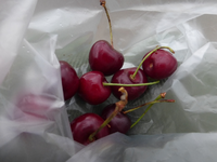 P1440482.webp