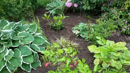 20150622_130716.webp