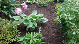20150622_130615.webp