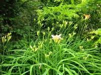 DSCN9225.webp
