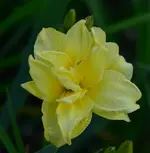 doubleriverwhy.webp