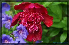 comp_DSC03838.webp