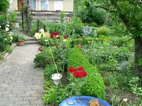IMG_4252.webp