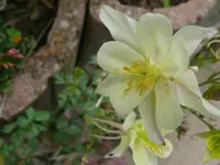 k-P1090541.webp