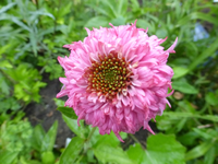P1440630.webp