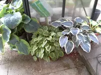 20150621_103504.jpg