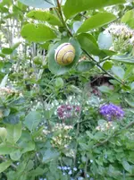 P1360840.webp