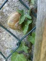P1440020.webp