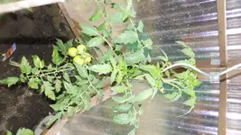 DSCF2582.webp