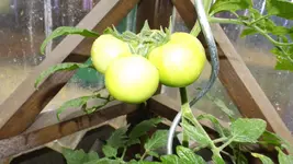DSCF2583.webp