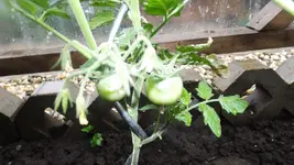 DSCF2584.webp