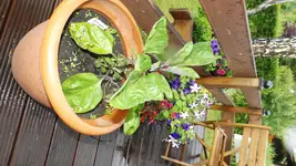 DSCF2561.webp