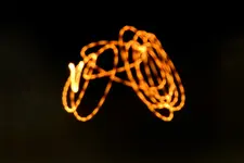 DSCN4020X.webp