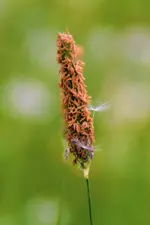 DSC_4045.webp