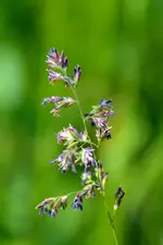 DSC_1710_6617.webp