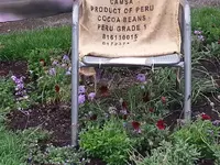 2015-06-20 Brütende Ente neben der Hauptbühne.webp