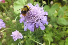DSCF1625.webp