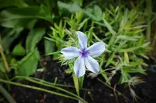 DSCF1617 (2).webp