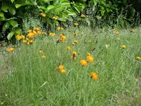 IMGP7695.webp