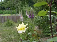 IMGP7697.webp