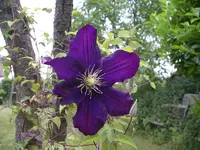 IMGP7699.webp