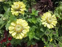 Bilda004.webp