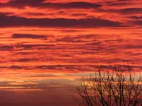 026.webp