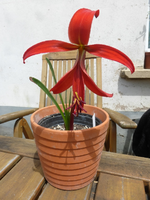 P1440790.webp