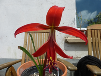 P1440791.webp