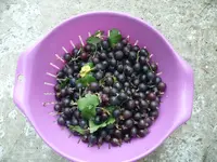 P1090569.webp