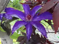 001 (3).webp