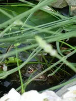 CIMG0980.webp
