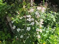 DSCF1636 (3).webp