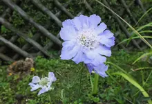 DSCF1607 (3).webp