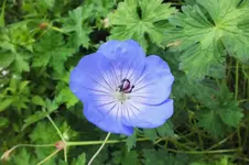 DSCF1608 (2).webp