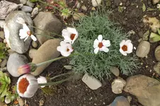 DSCF1614.webp